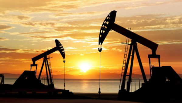 Bolloré voit ses activités plombées par les prix du pétrole au 3e trimestre