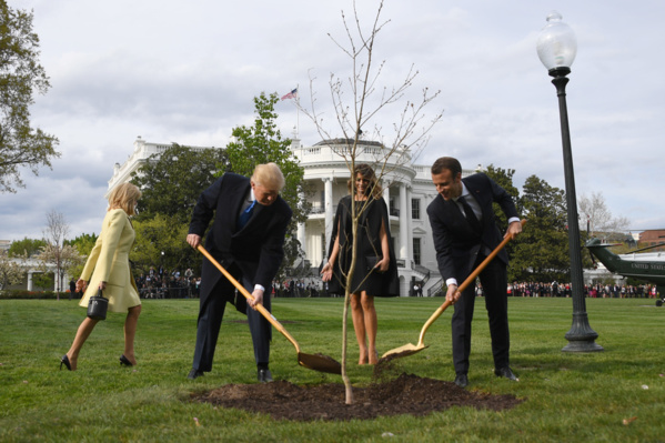 L'arbre symbolisant l'amitié Macron-Trump n'a pas survécu