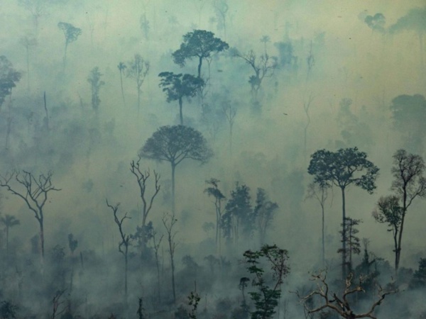 Incendies en Amazonie: des centaines de nouveaux feux, l'émotion grandit