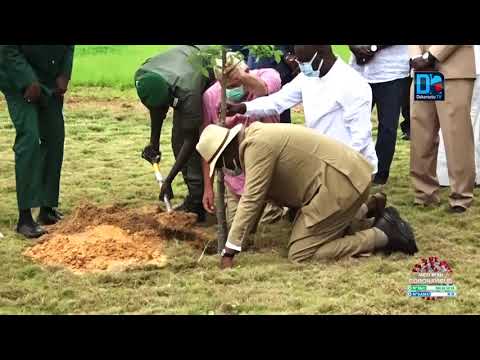 Le Président Sall à la journée de l'arbre au Cicad