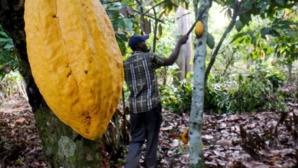 Abidjan lève les sanctions contre le chocolatier Hershey