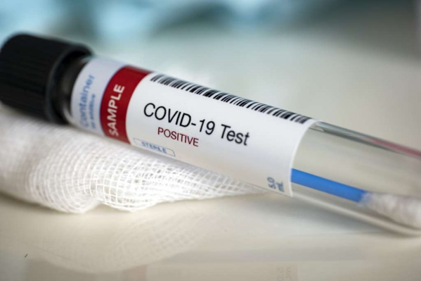 Coronavirus: les chiffres du jour