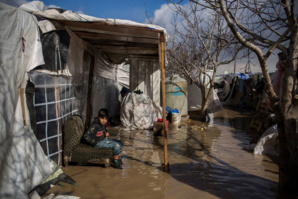 Jordanie  : 1/4 des réfugiés syriens vivent dans l’insécurité alimentaire