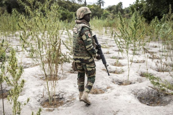 Un soldat sénégalais en Casamance (illustration)