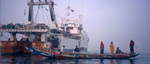 Vers une réduction du nombre de bateaux de pêche, annonce le ministre Alioune Ndoye