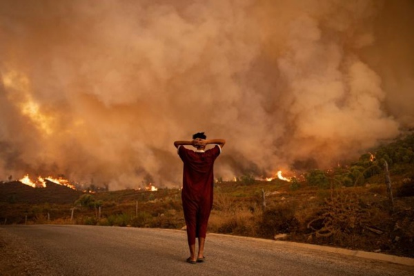 Incendies de forêt : Plus de 700 hectares brûlés au Maroc, quelques foyers actifs en Algérie