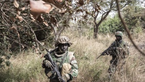 Déroute électorale des locales et fuite en avant guerrière de Macky/APR/BBY en Casamance ! (par Diagne Fodé Roland)