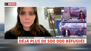 La reporter-journaliste Anne-Laure Bonnel