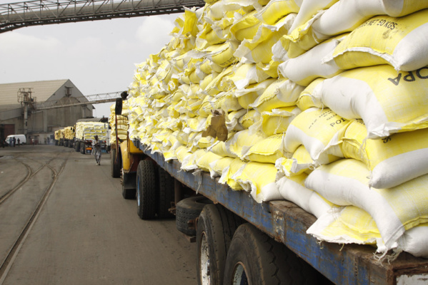 L’Inde vers une restriction de ses exportations de riz, le Sénégal concerné