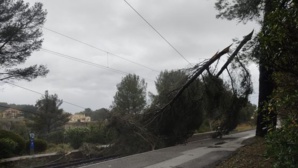 SNCF : un train percute une voiture sur les voies entre Cannes et Saint-Raphaël