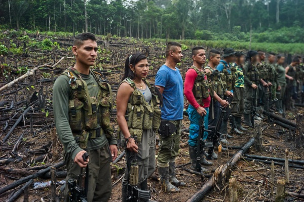 En Colombie, sur les terres de coca de la Segunda Marquetalia