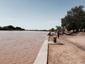 Matam : la SAED annonce un plan de résilience pour les agriculteurs impactés par le débordement du fleuve Sénégal