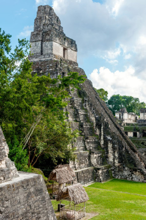 Découverte d'une ancienne cité maya dans la forêt tropicale mexicaine