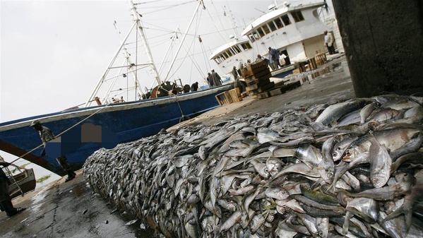 Fin de l’Accord de pêche de 2019-2024 : L’Union européenne anticipe le refus du Sénégal