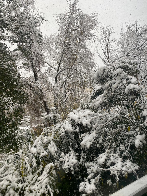 De la neige à gogo en France. Ici à Paris le 21 novembre 2024 (photo IMPACT.SN)