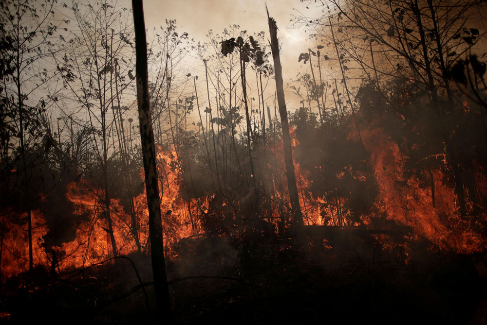 INCENDIES EN AMAZONIE : Le propriétaire de Timberland suspend ses achats de cuir brésilien