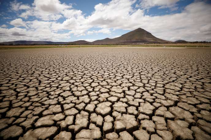 COP 25 : L’Afrique invitée à parler d’une voix unique