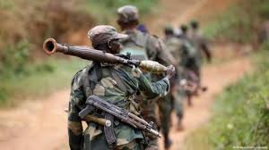 RDC: 30 soldats tués dans les derniers affrontements avec le groupe armé ADF (armée)