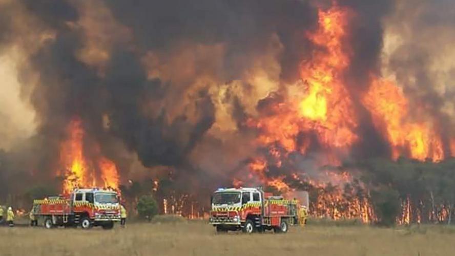 Les incendies en Australie ont détruit 20% des forêts