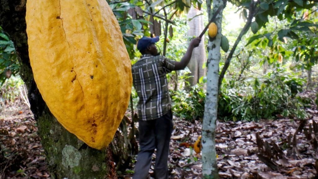 Abidjan lève les sanctions contre le chocolatier Hershey