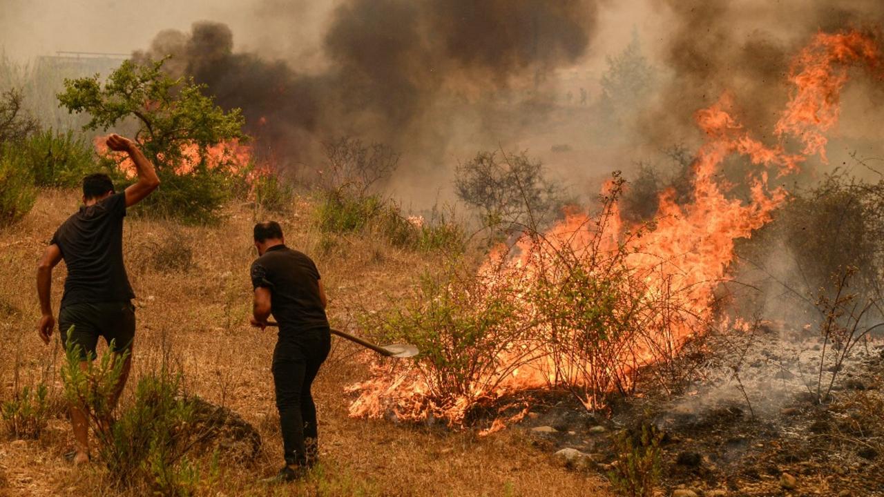 Algérie - 43 morts dans les incendies