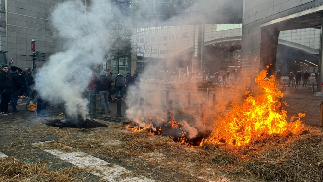 A Bruxelles, la colère des agriculteurs devant le Parlement européen