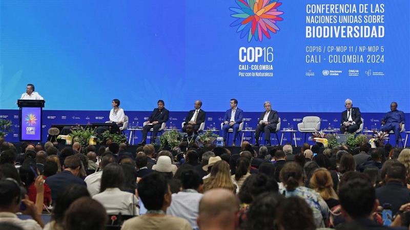 La COP16 biodiversité échoue à Cali sur la finance Nord-Sud