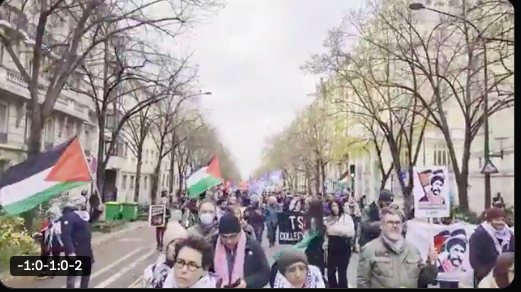 Manifestation pro-palestinienne à Paris le 7 décembre 2024 (capture d'écran)