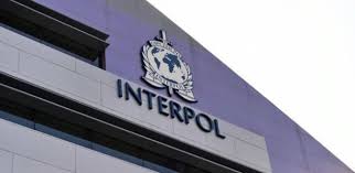 Interpol arrête 37 terroristes présumés dans 8 pays d'Afrique de l'Est