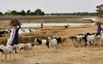 Niger: 18 morts dans des affrontements entre éleveurs et agriculteurs dans l'Ouest