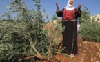 Amnesty international : Les États doivent interdire les produits en provenance des colonies israéliennes pour contribuer à mettre un terme à un demi-siècle de violations des droits fondamentaux des Palestiniens