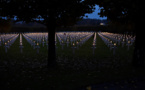 11 novembre: les tombes de 3.500 soldats américains illuminées dans la Meuse