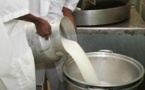 Les laits en poudre ré-engraissés plombent la compétitivité du lait local, selon un chercheur