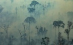 Incendies en Amazonie: des centaines de nouveaux feux, l'émotion grandit