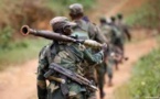 RDC: 30 soldats tués dans les derniers affrontements avec le groupe armé ADF (armée)