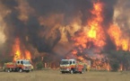 Les incendies en Australie ont détruit 20% des forêts