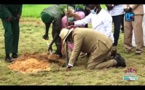 Le Président Macky Sall recommande de planter des arbres pour reverdir le pays