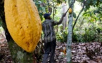 Abidjan lève les sanctions contre le chocolatier Hershey