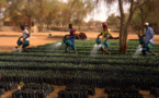 Défi climatique: comment les syndicats peuvent-ils accompagner les efforts du Sénégal dans sa transition énergétique ? (Equaltimes)