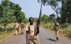 CENTRAFRIQUE: une ville attaquée par des rebelles, 7 morts