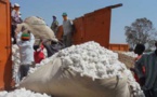 Sénégal : l’Institut de recherches agricoles veut concevoir de nouvelles variétés de coton