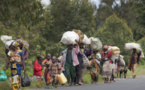 RDC : plus de 1.200 civils tués, 1.100 violés et plus d’un million de déplacés dans l’Est du pays (HCR)