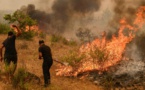 Algérie - 43 morts dans les incendies