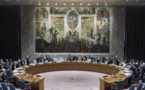 Conseil de sécurité de l'ONU - Le Pakistan, la Grèce et le Danemark parmi les nouveau élus