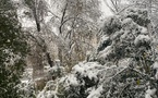 France - La tempête Caetano se décale vers l'est, 270.000 personnes privées d'électricité