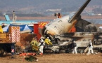 Crash d’un avion en Corée du Sud : les oiseaux, le fléau des pilotes