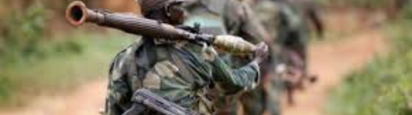 RDC: 30 soldats tués dans les derniers affrontements avec le groupe armé ADF (armée)