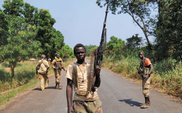 CENTRAFRIQUE: une ville attaquée par des rebelles, 7 morts