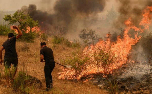 Algérie - 43 morts dans les incendies