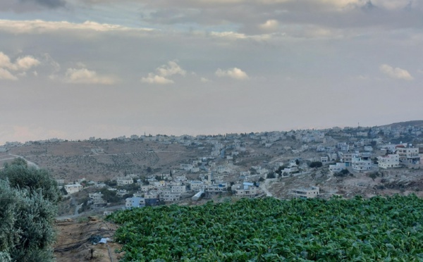Israël approuve la saisie de 1270 hectares de terres en Cisjordanie occupée